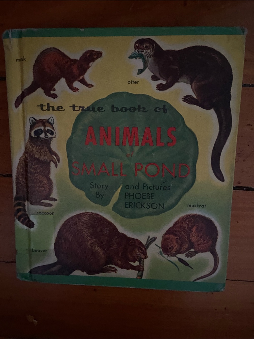 Vintage 1950s 50s ANIMALS animal Illustrated Book wildlife raccoon beaver otter